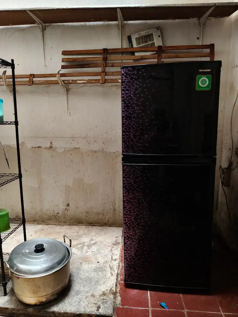 Kulkas sharp 2 pintu