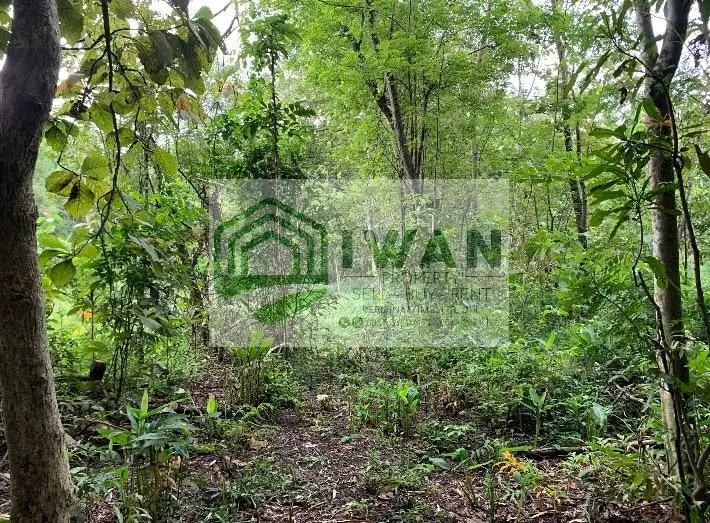 Tanah Luas & Murah Akses Mobil Masuk