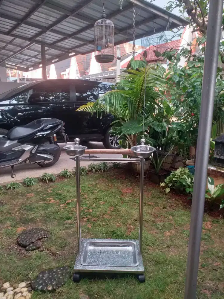 (BARU) Tangkringan Stainless Steel Burung Parrot