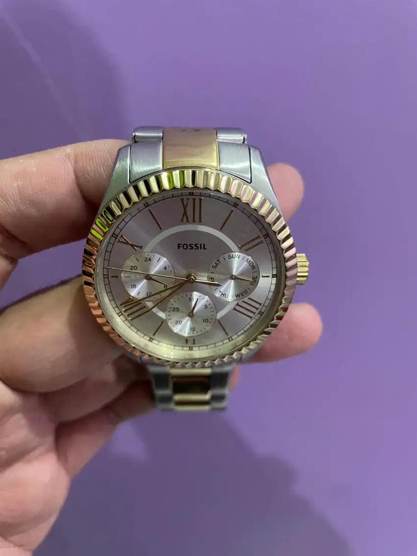 FOSSIL CHAPMAN - PRIA