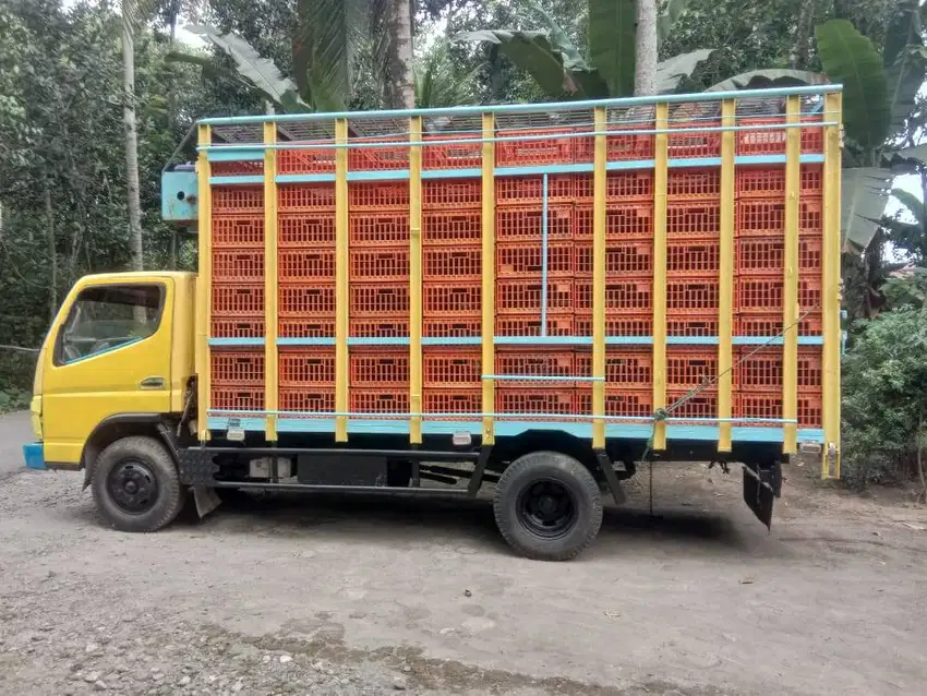 Colt Diesel Canter FE73 PS110 Tahun 2010 Dobel Engkel/Ban (Truk Ayam)