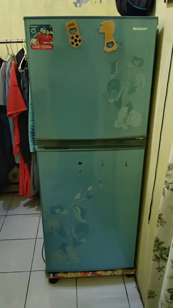 Kulkas sharp 2 pintu