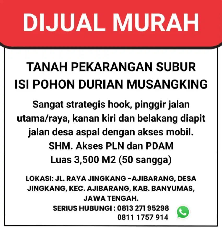 TANAH PEKARANGAN ISI POHON DURIAN MUSANGKING