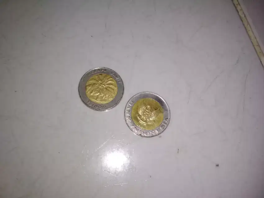 Koin seribu kelapa sawit