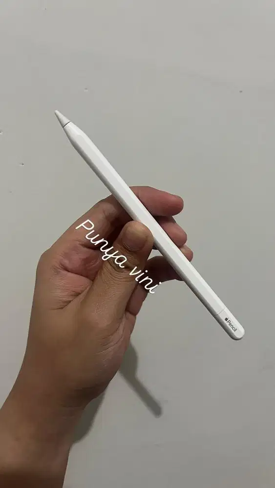 Apple pencil USB C ORI IBOX