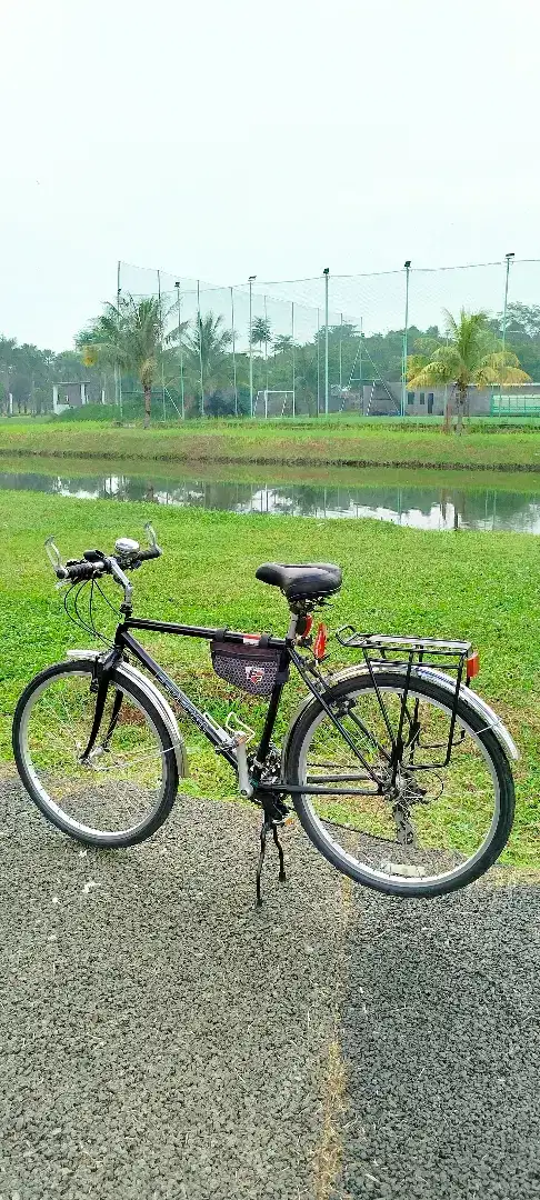 Sepeda Federal Streetcat FC3xx