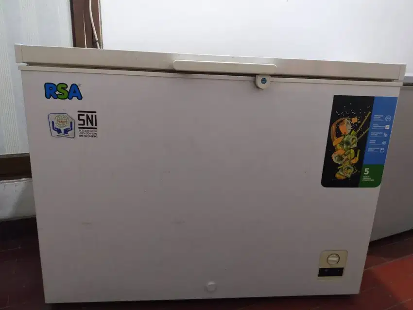 FREEZER BOX RSA CF-310