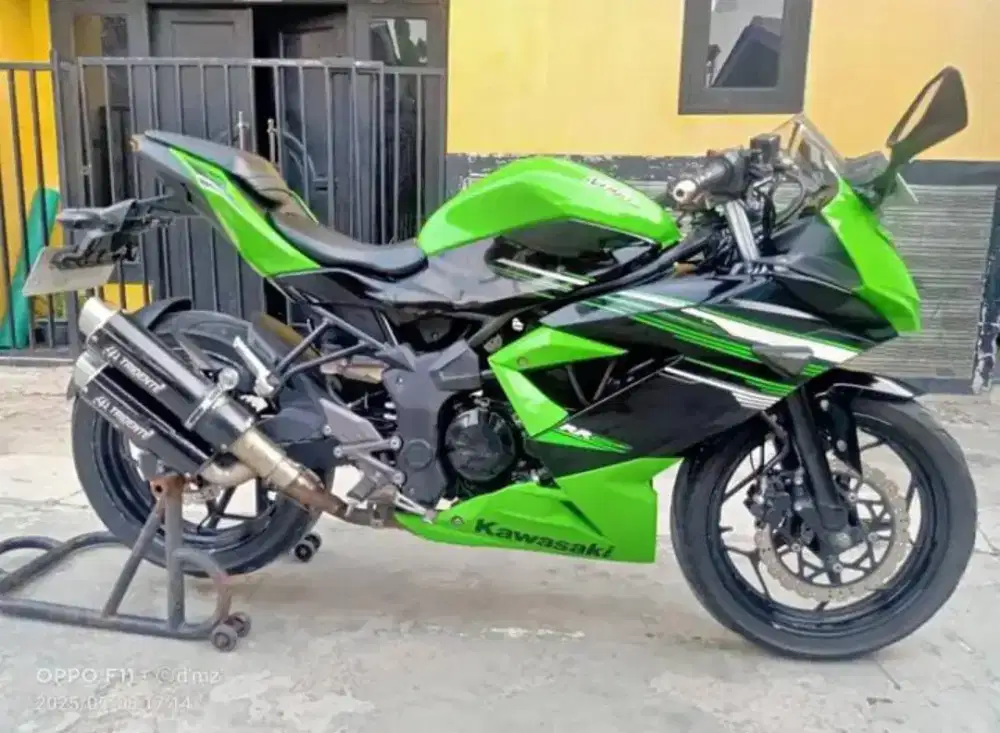 Kawasaki Ninja 250 mono SL