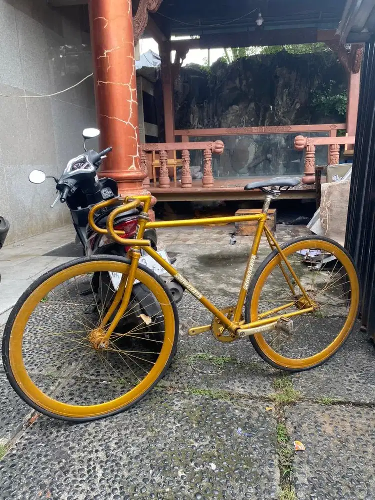 Sepeda fixie custom