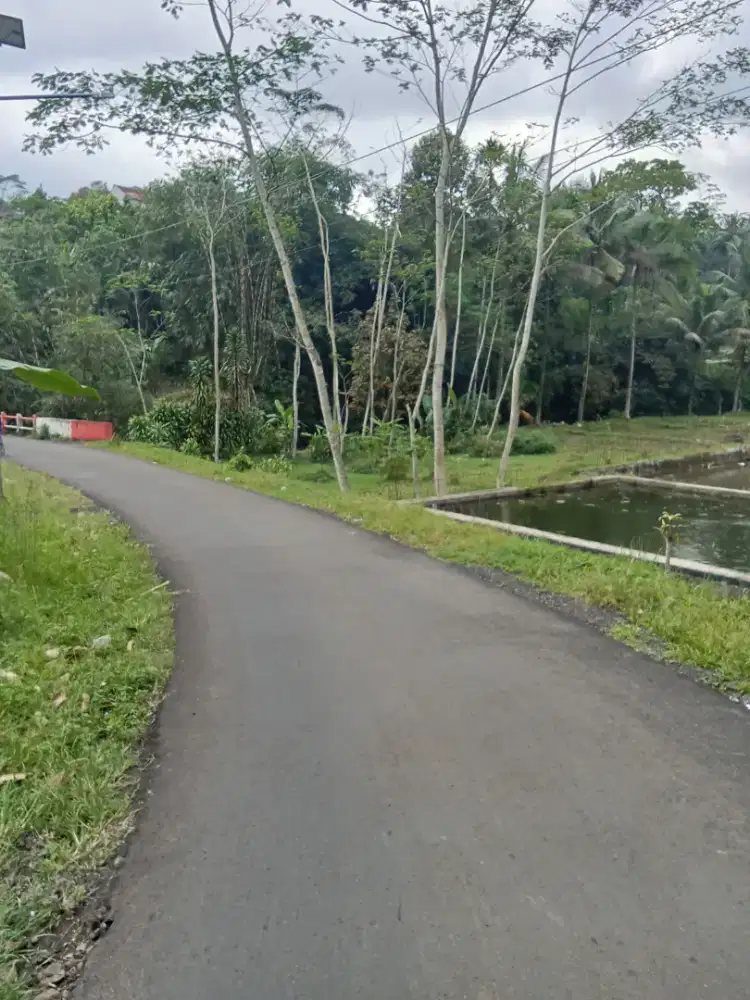 Jual Tanah Pekarangan Pinggir Jalan utk hunian dan usaha