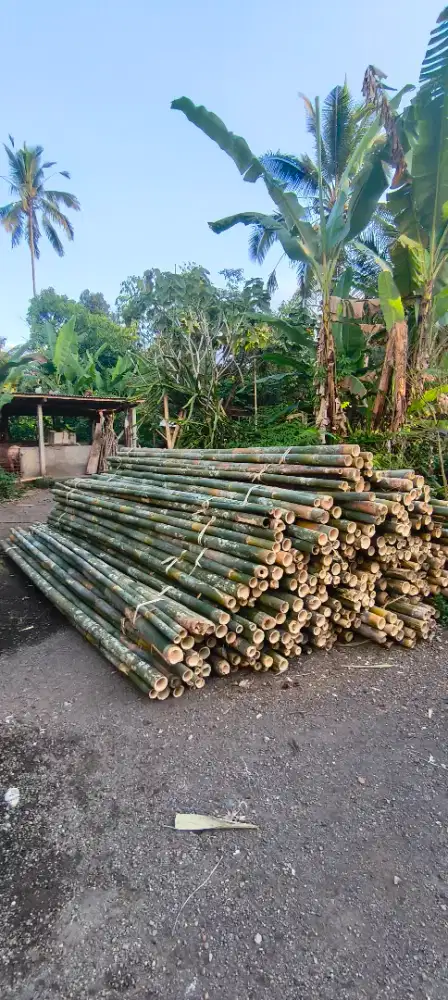 Dijual bambu 4 mter