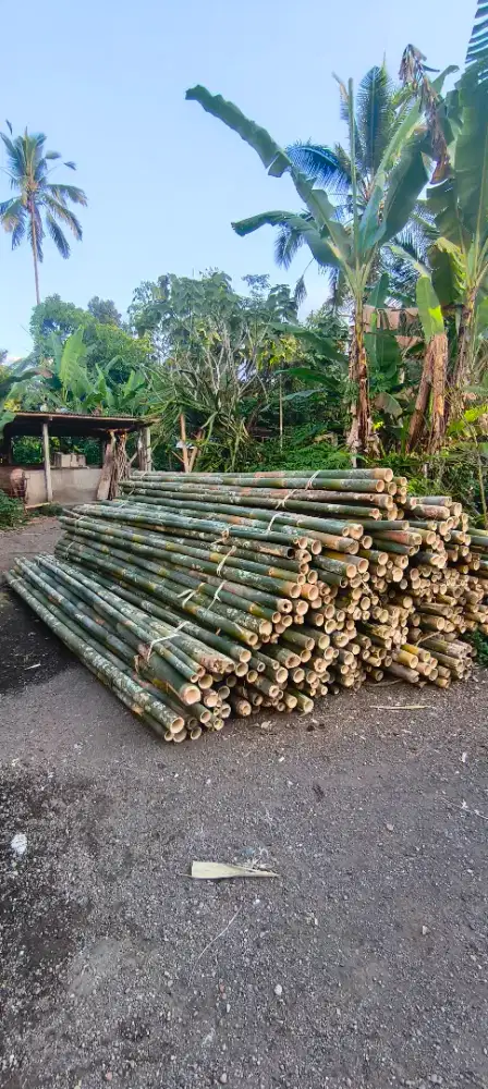 Dijual abambu dan Kayu lokal