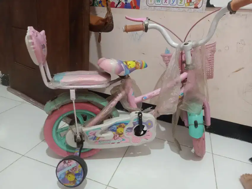 Sepeda anak roda 4