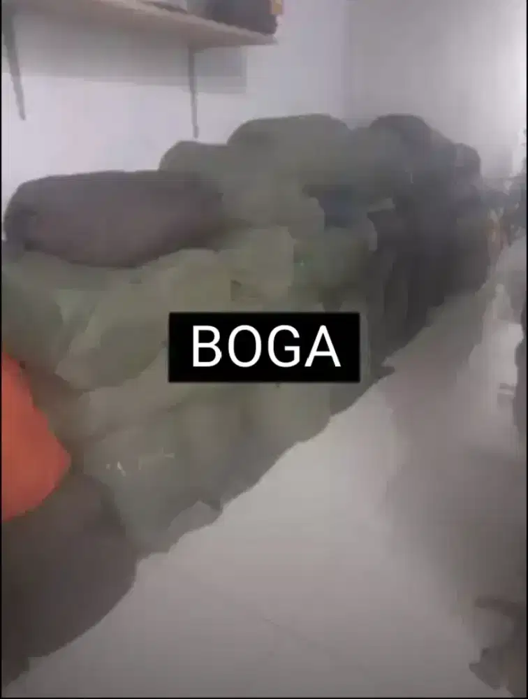 Tenda camping Pramuka 3x4 4x6 6x14 ready