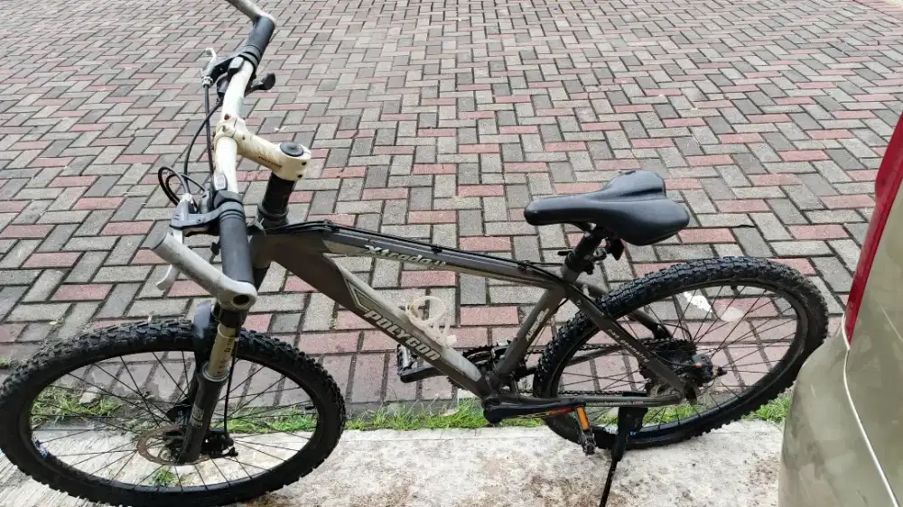 Sepeda Polygon Xtrada 4.0