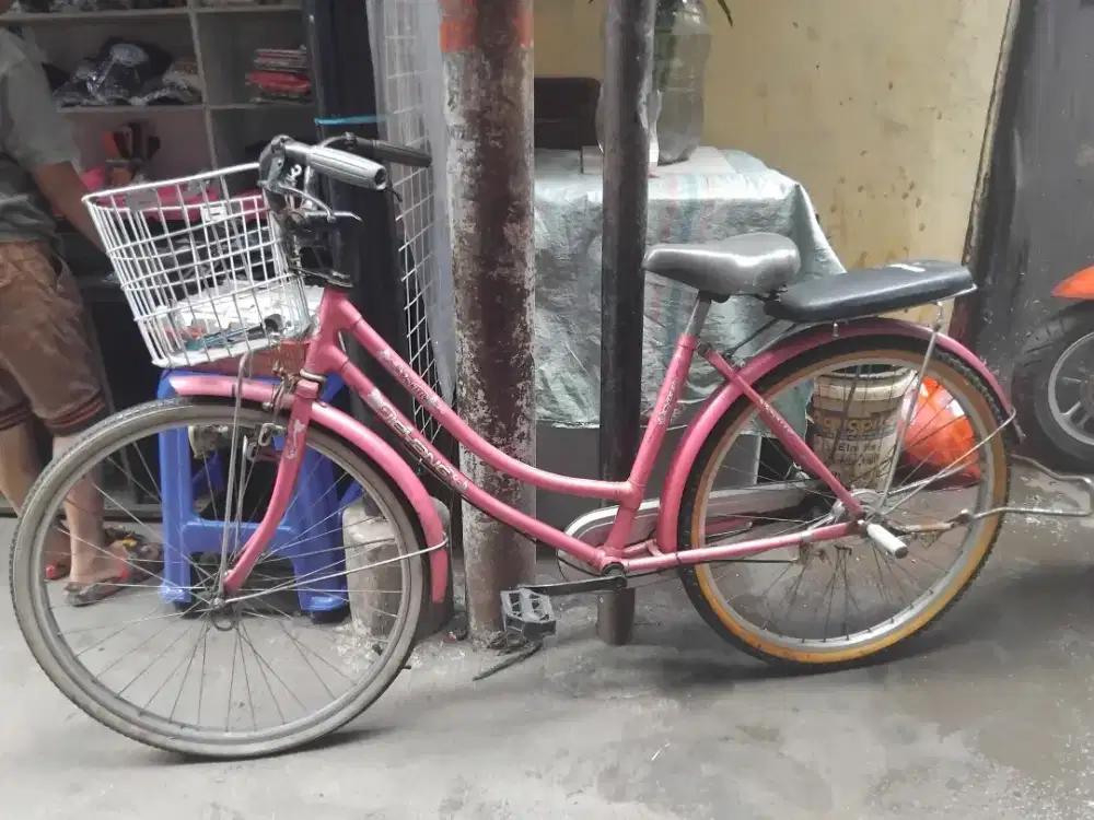 Sepeda cewek buat kepasar