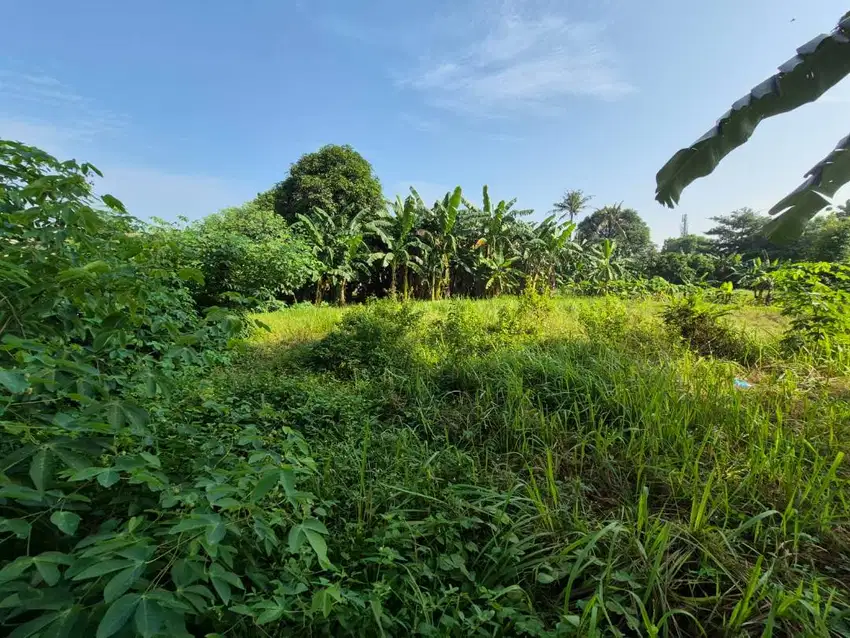 DI JUAL TANAH SHM, BEKASI, SAMPING  PERUMAHAN GRAHA ASRI
