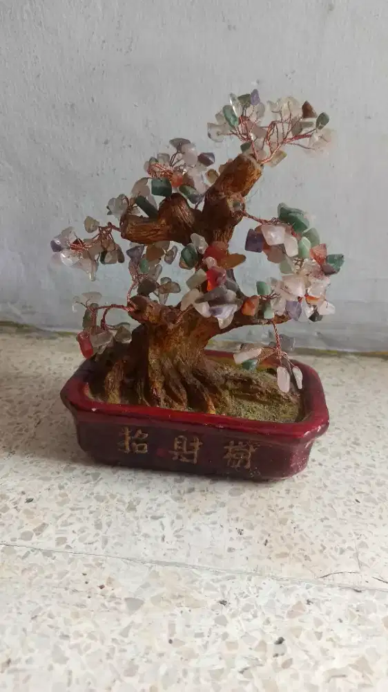 Tanaman hias keramik model bonsai