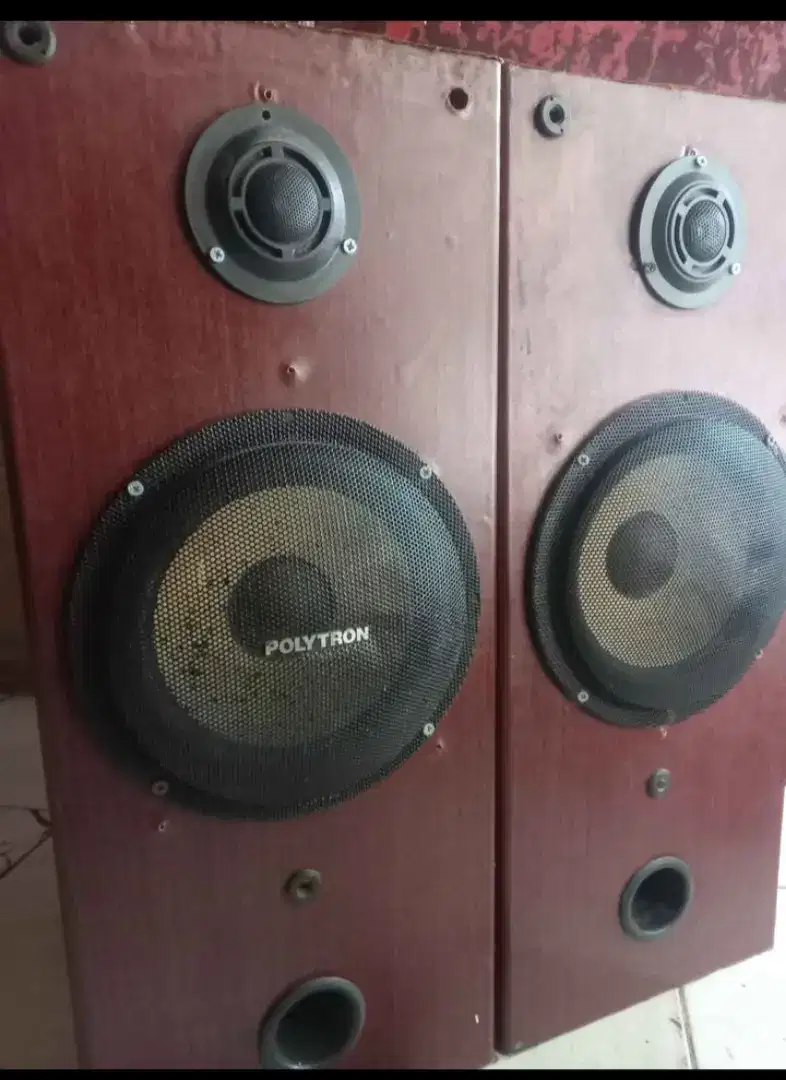 Salon pasif 8 inci merek polytron