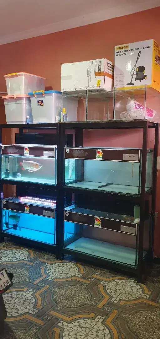 Aquarium & Rak Besi