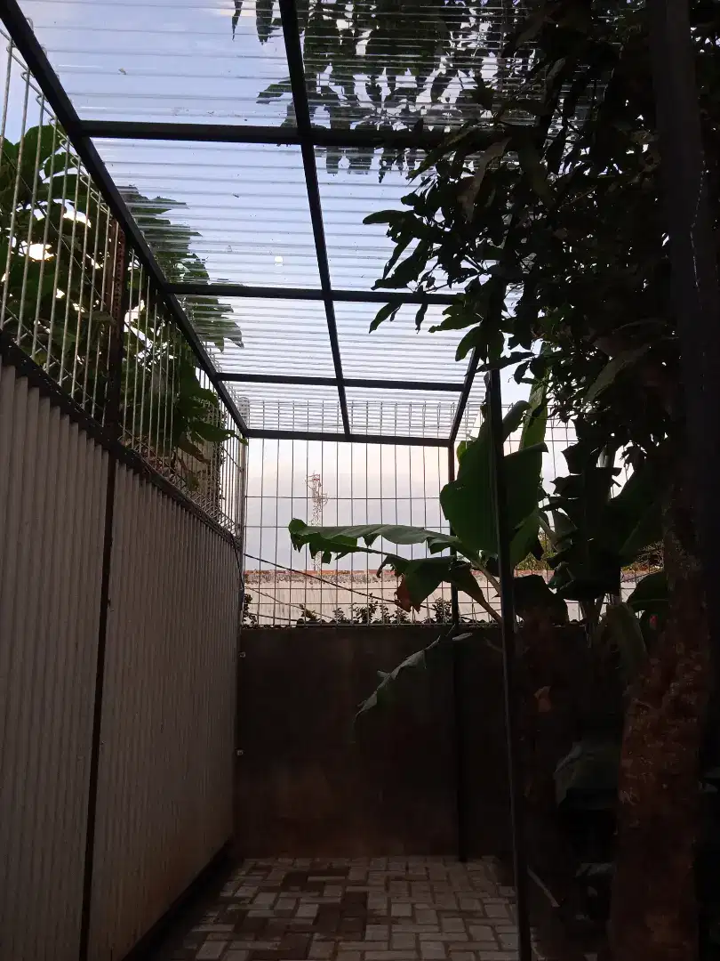 Canopy Solartaaf 96