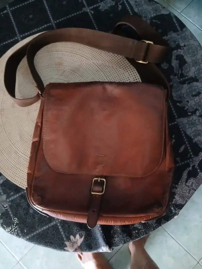 Tas fossil original