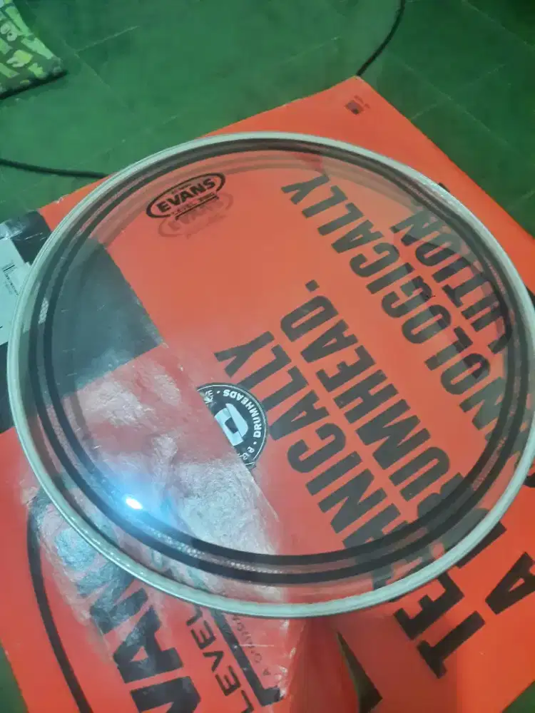 Head drum 13 Evans Reso