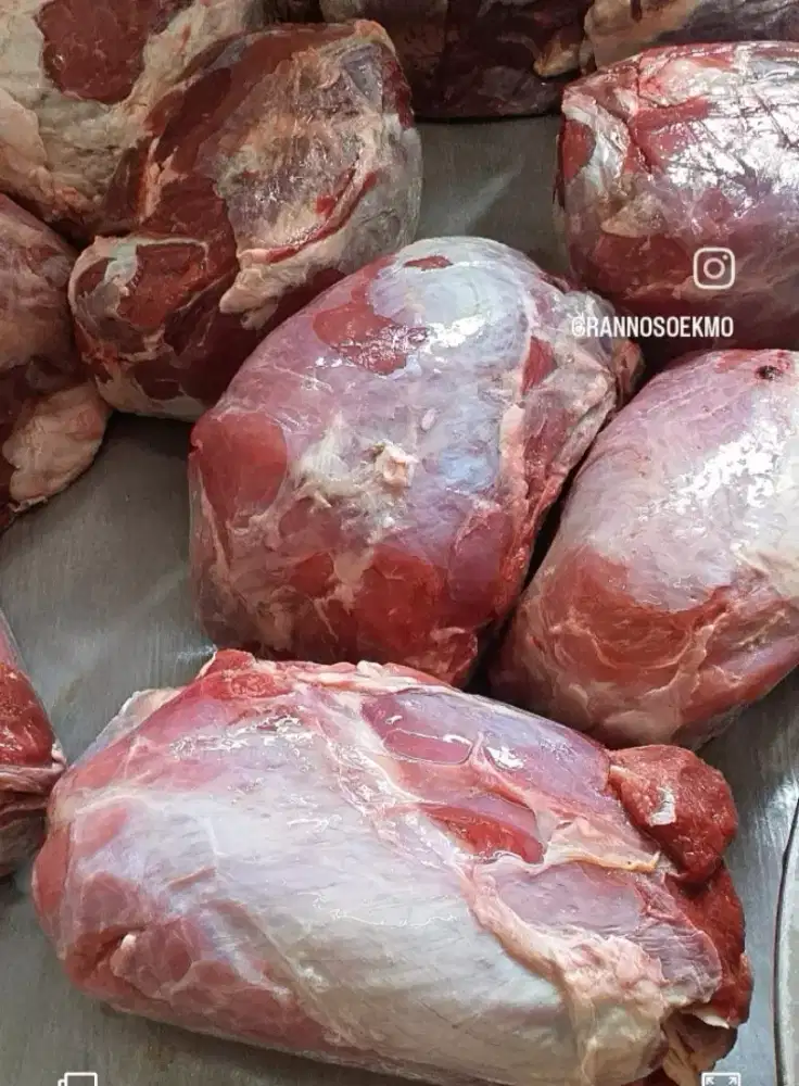 Jual daging sapi untuk hajatan