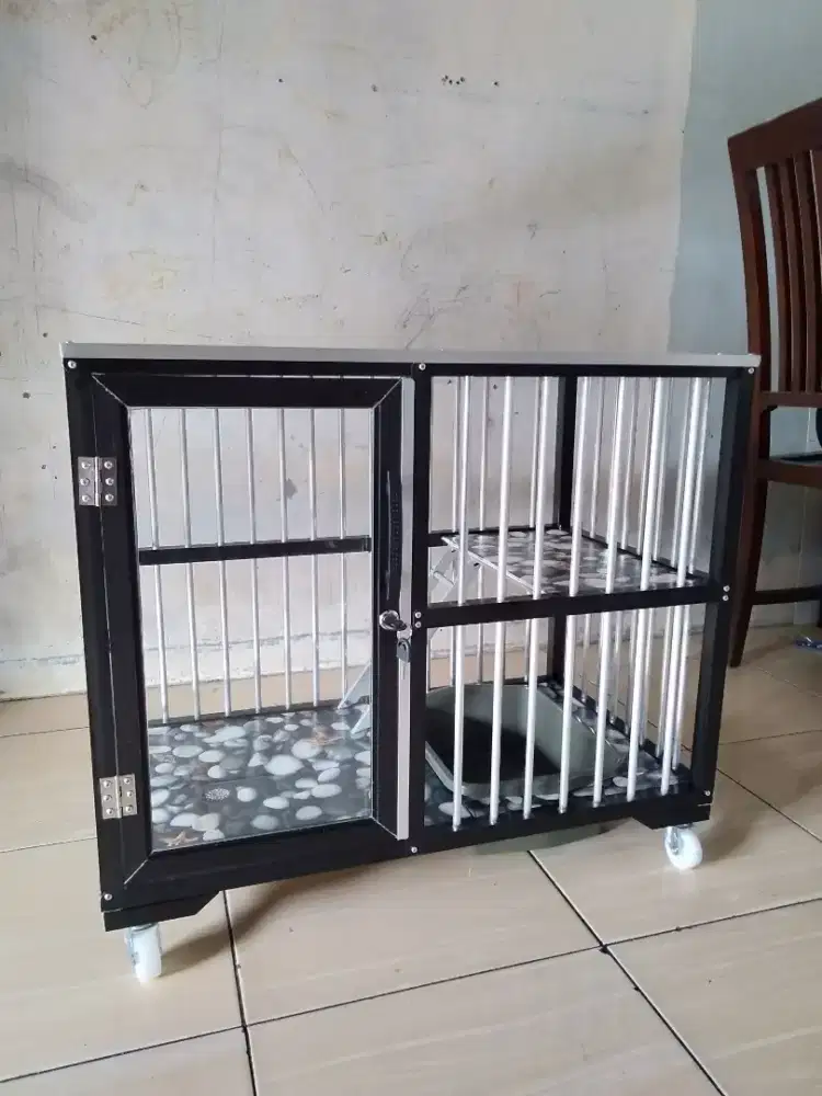 Rumah kucing imut 01