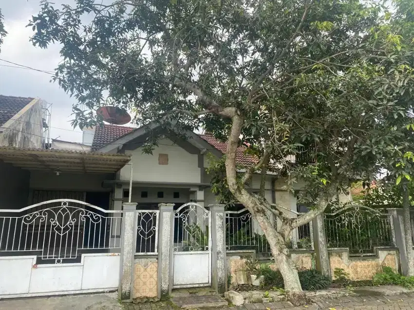 Rumah Luas 240m Tengah Kota GOR Kaliwates