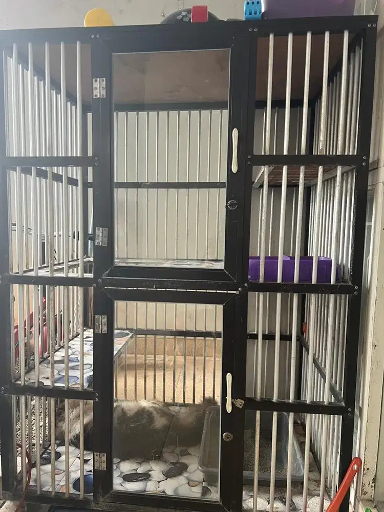 kandang 2 lantai besar beserta peralatan kucing
