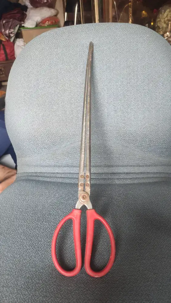 GUNTING CAPIT PENGAMBIL KEPITING UDANG BELUT 52 CM