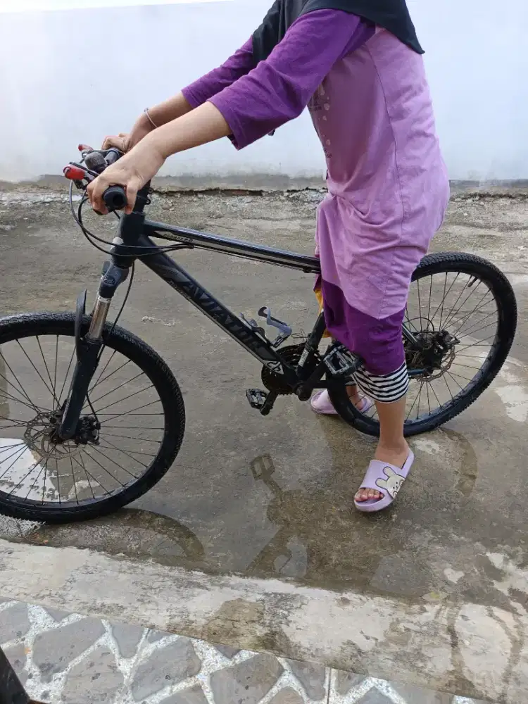 Sepeda gunung merk aviator