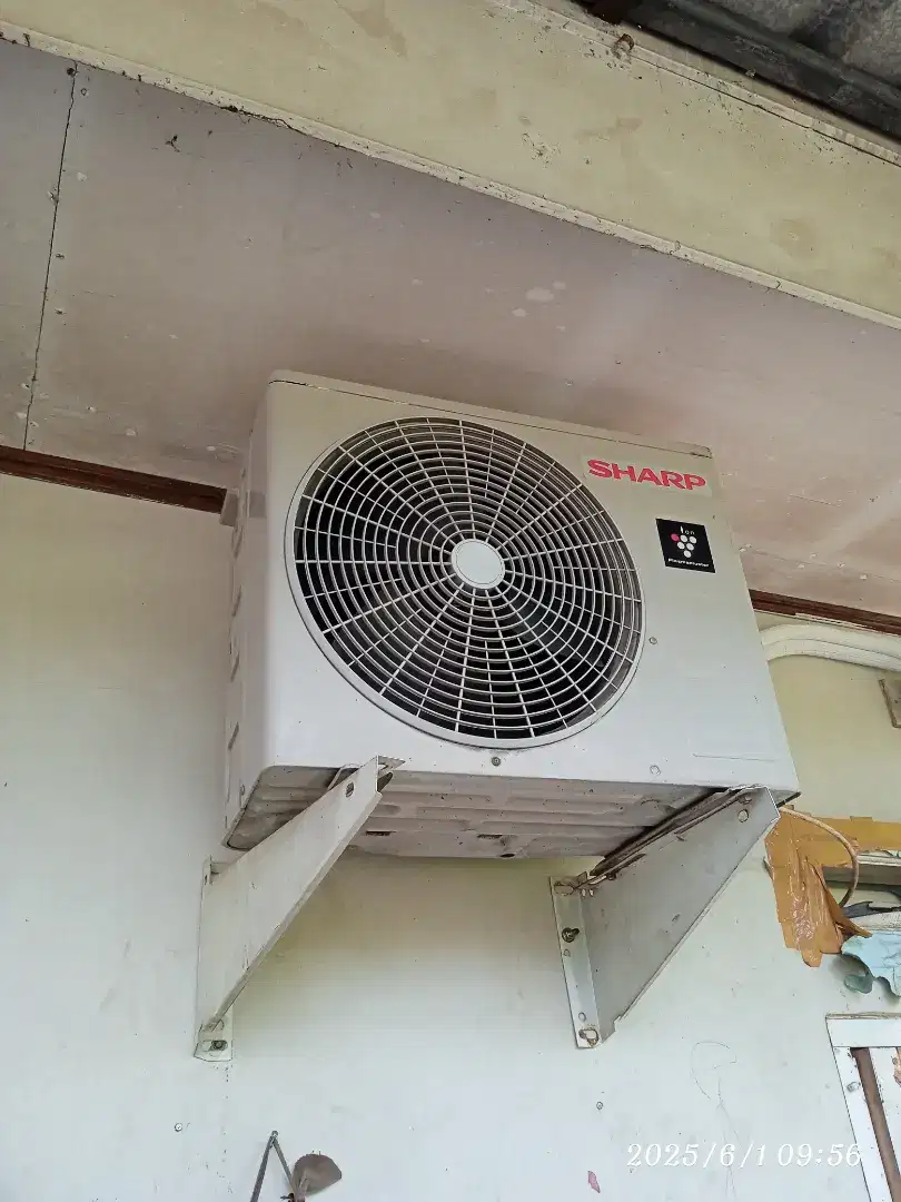 AC Sharp 1/2 pk