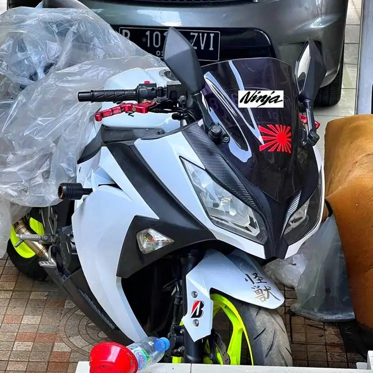 Kawasaki Ninja 250 FI