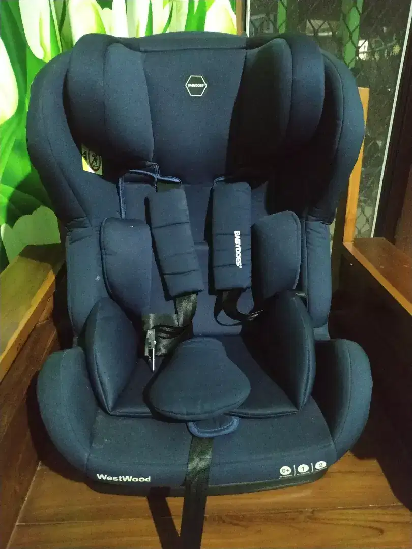 Car Seat Babydoes Westood