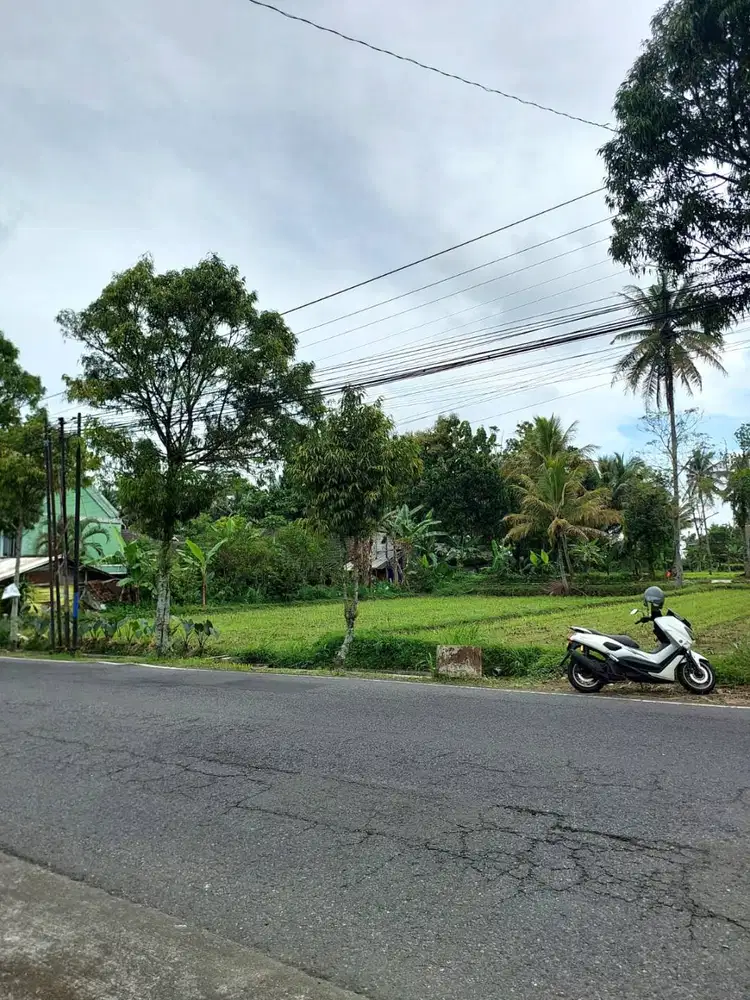 Tanah Strategis di Tepi Jalan Kaliurang Km 19,5