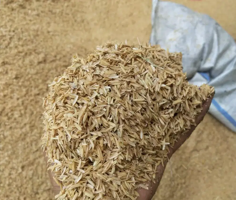 Sekam mentah (sekam padi), sekam bakar, sekam fermentasi (sekam lapuk)