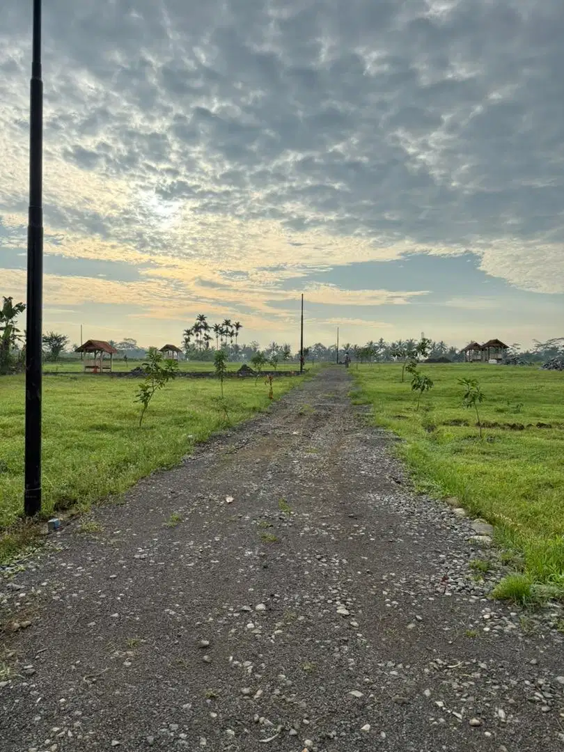 Tanah Murah Banget View Gunung