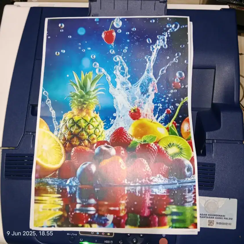 Xerox phaser 7100  laser A3 warna network