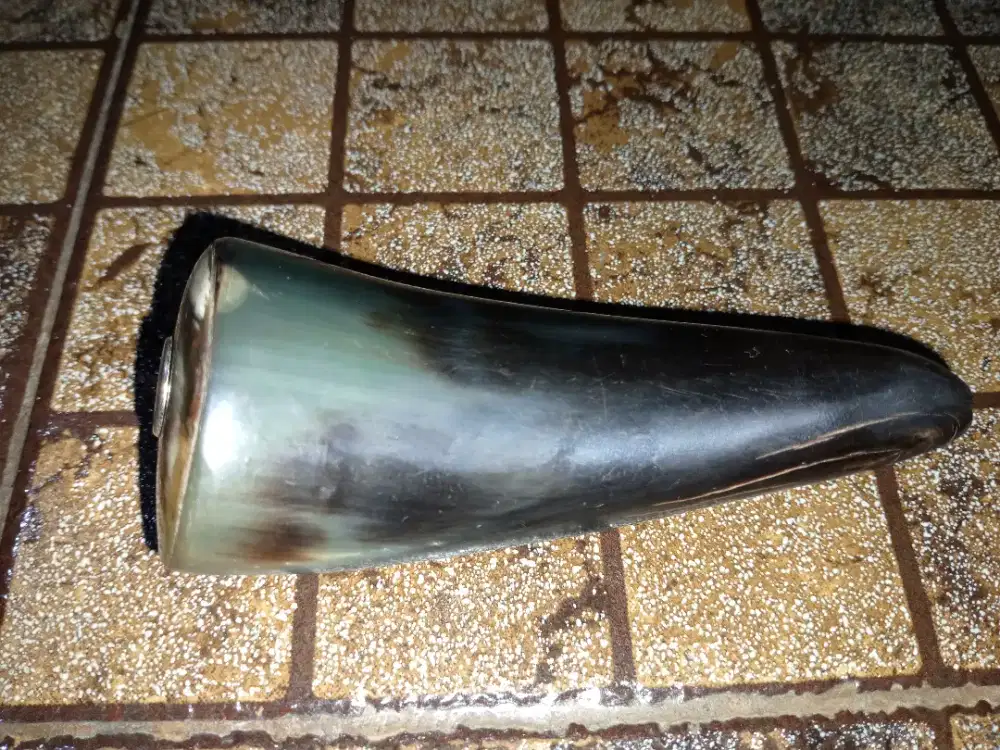 Pipa cangklong kerbau bule