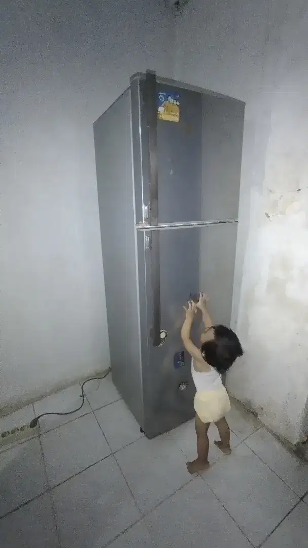 Kulkas sharp 2 pintu