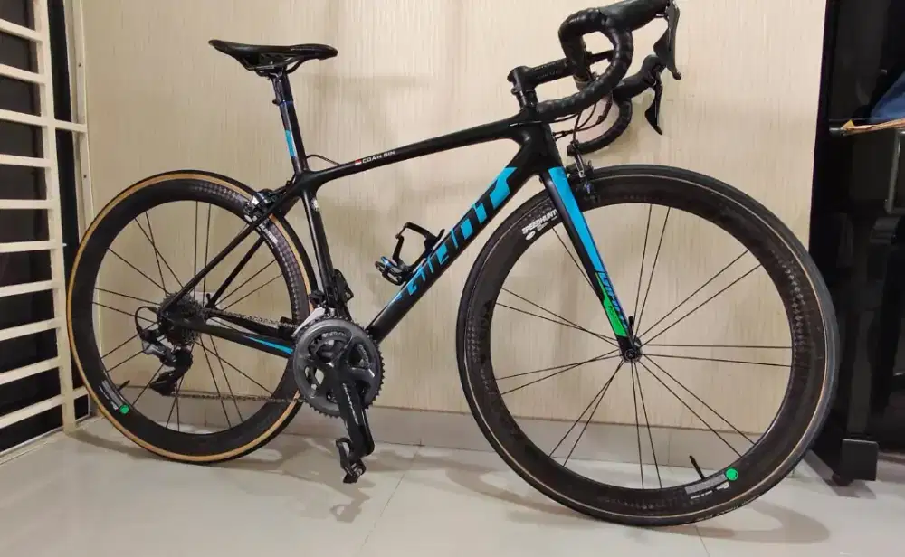 Sepeda Giant TCR advance SL 2016