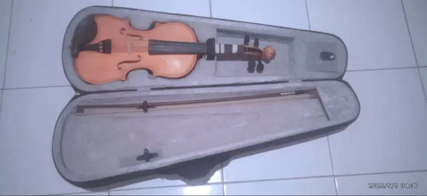 Biola Stainner 3/4 handmade Germany