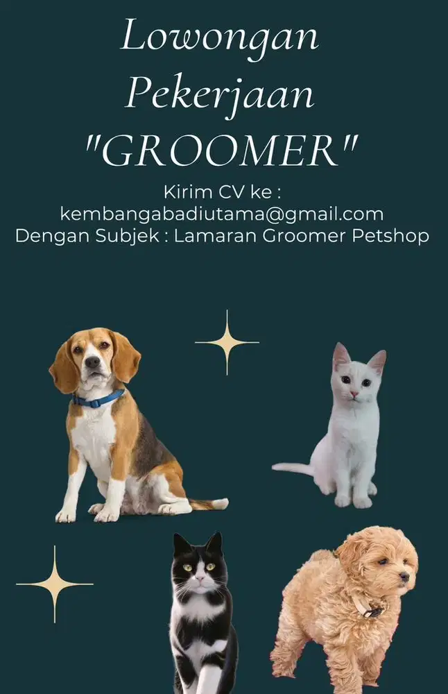 PET GROOMER (Petshop)