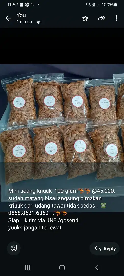 Mini udang kriuuk matang