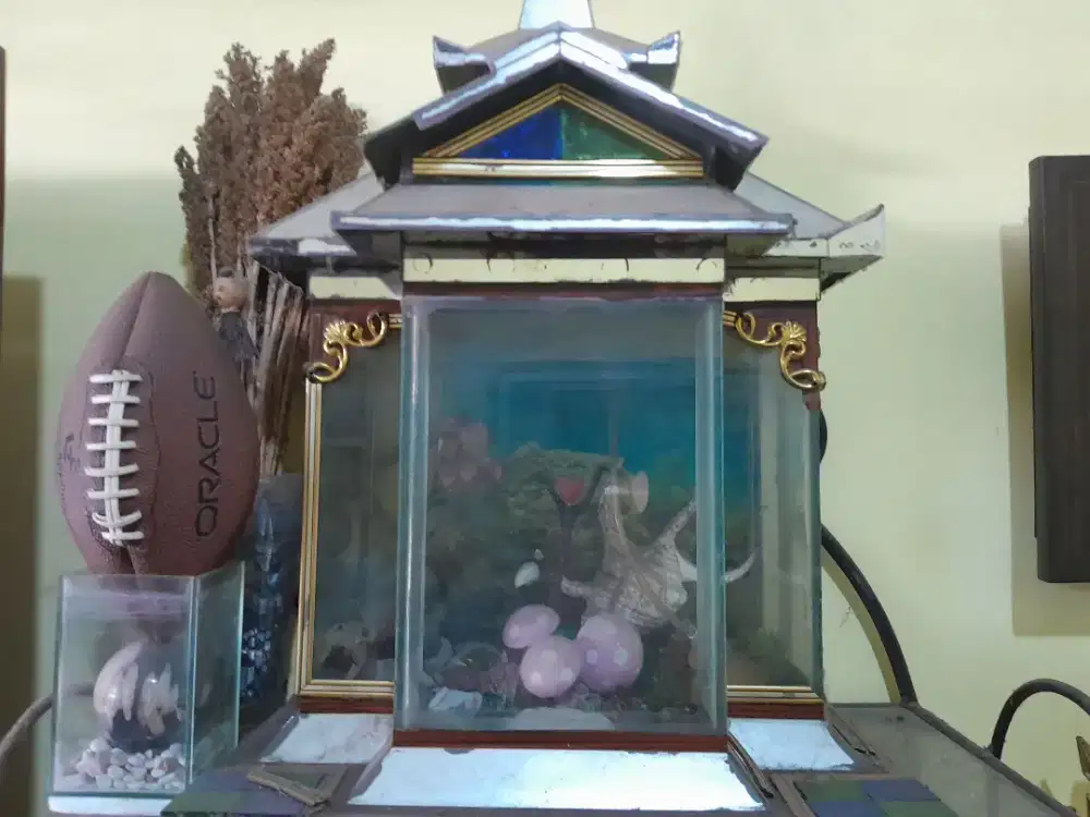 Pajangan akuarium bentum rumah kaca