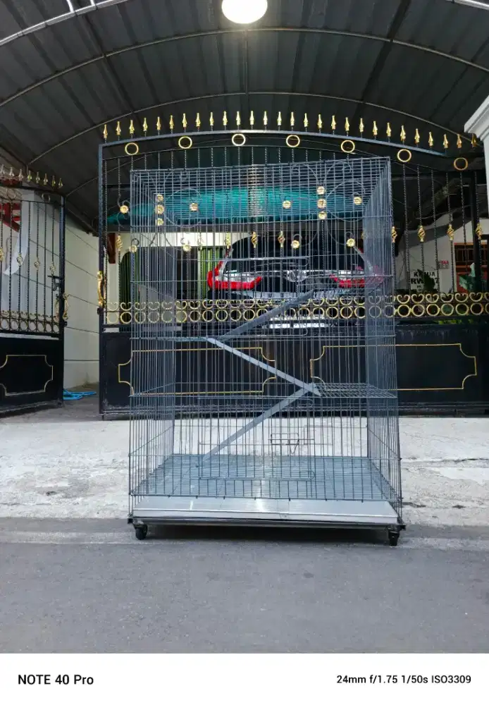 KandanG KucinG Jogja New Versie Galvanis Tebal