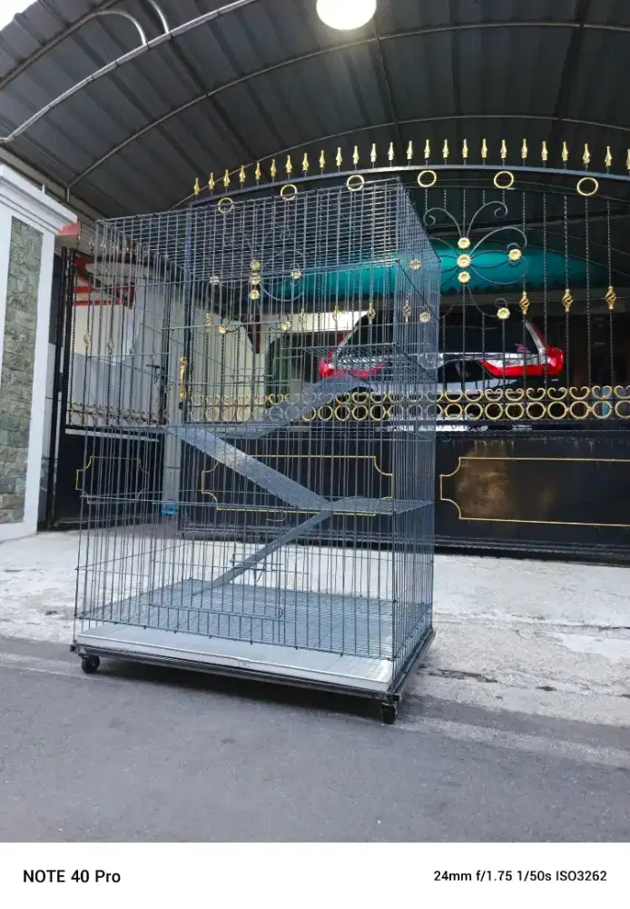 KandanG KucinG SoLoBaRu