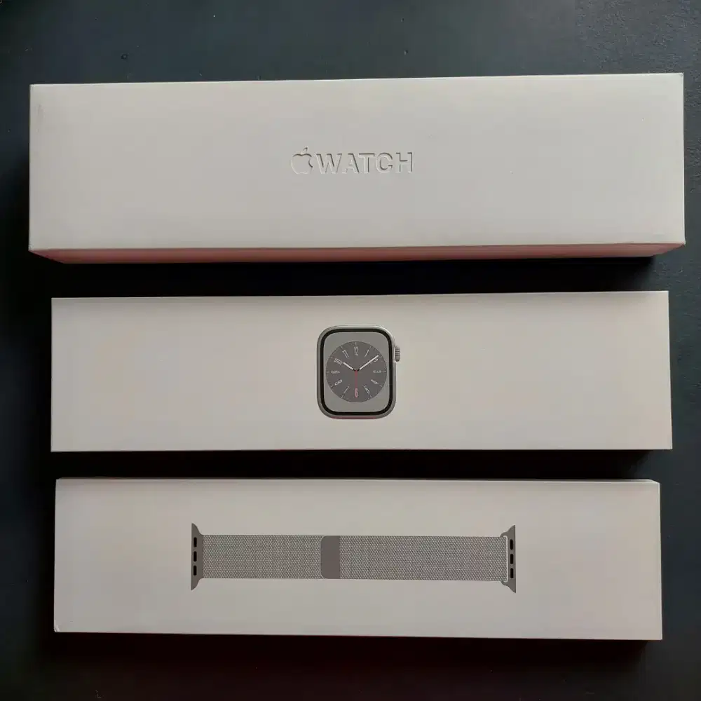 APPLE WATCH SERIES 8 45MM SILVER MILANESE LOOP EX INTER